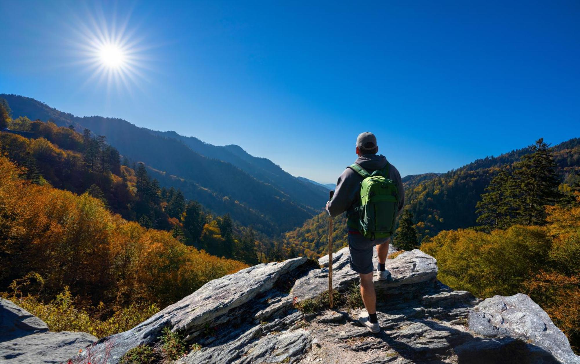 Majestic View Lodge, Amazing Views, Hot Tub, 1089 Free Tickets Each Paid Day, Dollywood And More Гатлінбург Екстер'єр фото