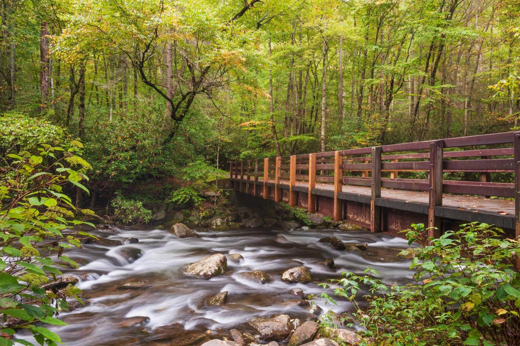 Majestic View Lodge, Amazing Views, Hot Tub, 1089 Free Tickets Each Paid Day, Dollywood And More Гатлінбург Екстер'єр фото